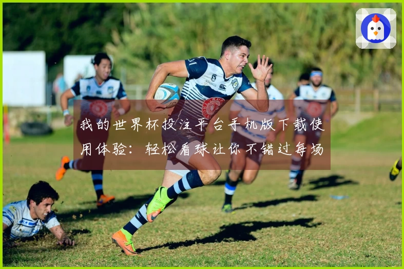 我的世界杯投注平台手机版下载使用体验：轻松看球让你不错过每场精彩对决