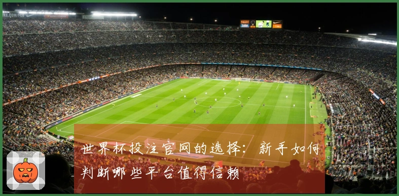 世界杯投注官网的选择：新手如何判断哪些平台值得信赖