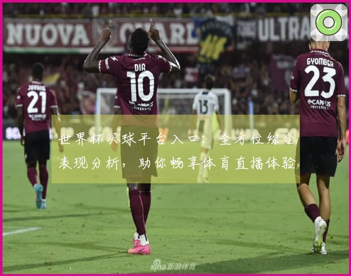 世界杯买球平台入口：全方位综合表现分析，助你畅享体育直播体验