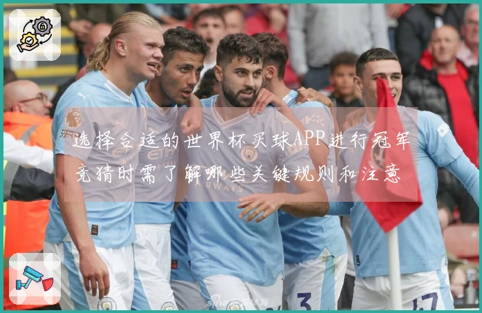 选择合适的世界杯买球APP进行冠军竞猜时需了解哪些关键规则和注意事项