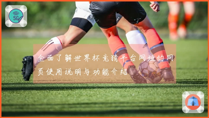 全面了解世界杯竞猜平台网址的网页使用说明与功能介绍