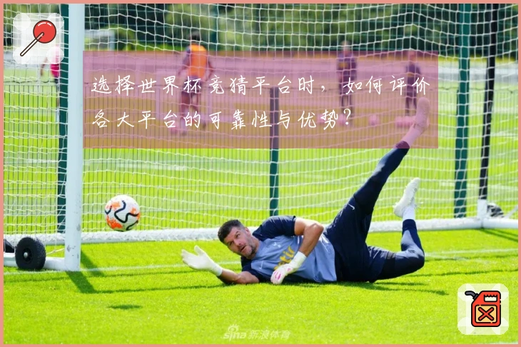 选择世界杯竞猜平台时，如何评价各大平台的可靠性与优势？
