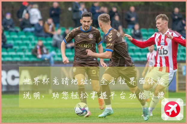 世界杯竞猜地址：全方位界面体验说明，助您轻松掌握平台功能与操作