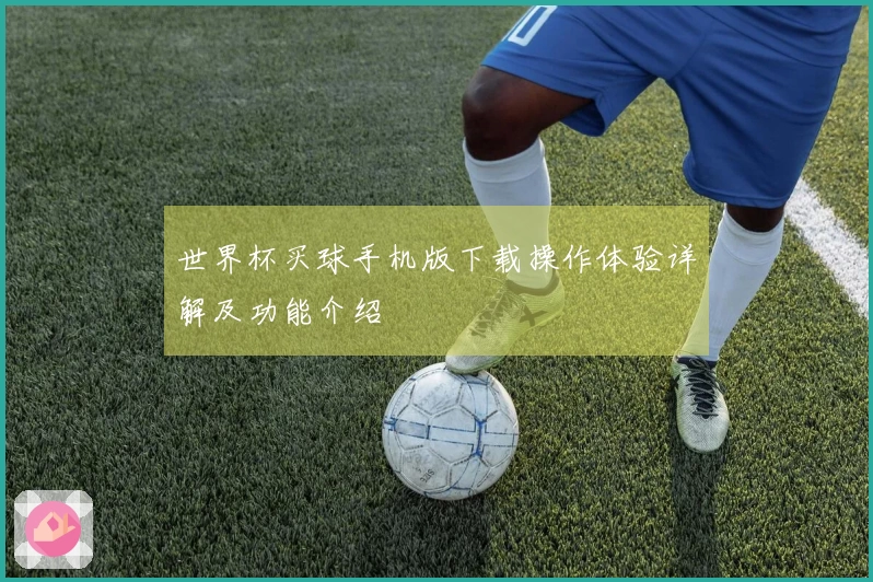 世界杯买球手机版下载操作体验详解及功能介绍