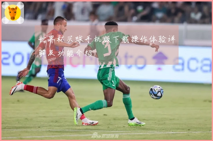 世界杯买球手机版下载操作体验详解及功能介绍