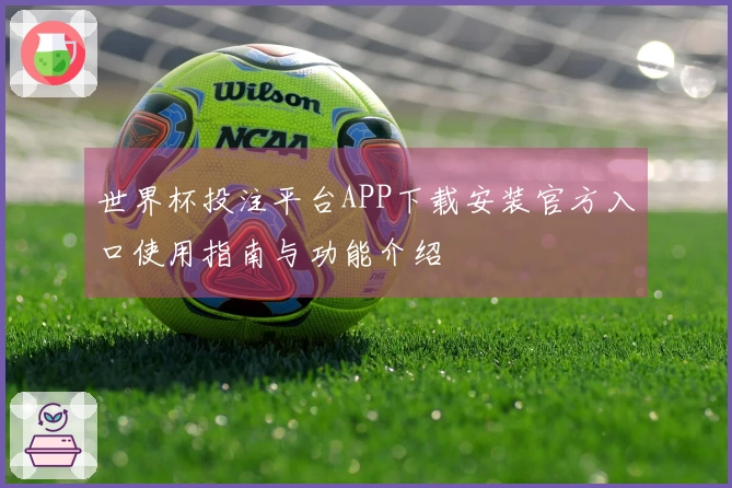 世界杯投注平台APP下载安装官方入口使用指南与功能介绍
