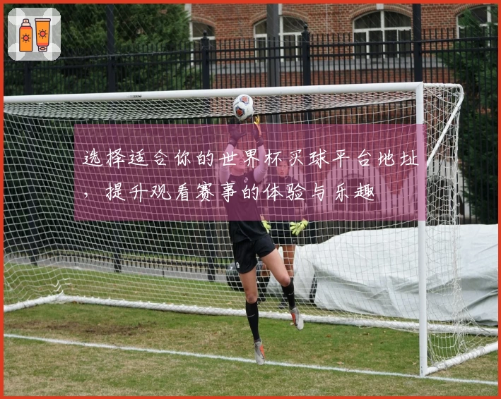 选择适合你的世界杯买球平台地址，提升观看赛事的体验与乐趣