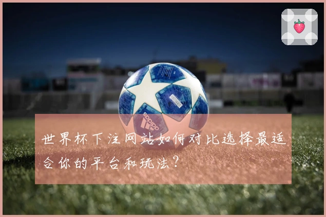 世界杯下注网站如何对比选择最适合你的平台和玩法？