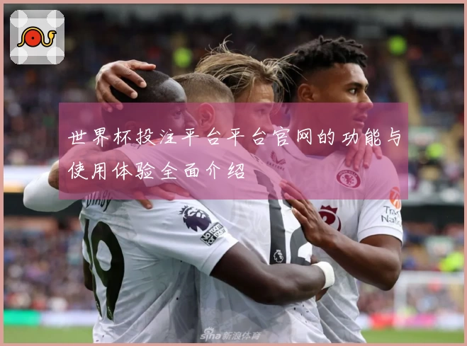 世界杯投注平台平台官网的功能与使用体验全面介绍